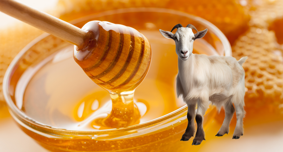Goats Milk and Honey Soap Recipe for Beginners - Practical Self Reliance