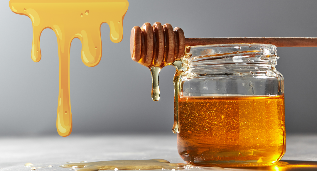 Homemade Body Wash with Honey + Coconut Oil